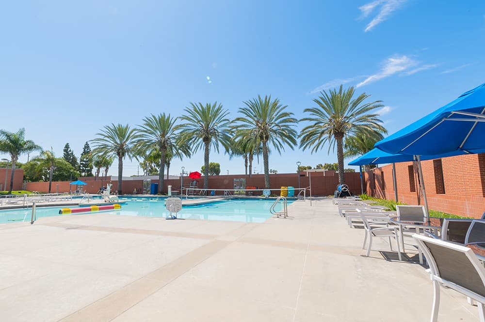 Pool and Spa Area 4