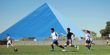 soccer in field